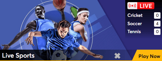 Playexch Casino